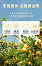 刺梨汁原液刺梨原汁贵州原浆官方旗舰店小包装鲜榨果汁含VC奇物-tmall.com天猫