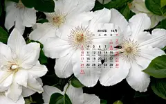 2010年10月花卉宽月历壁纸桌面壁纸4