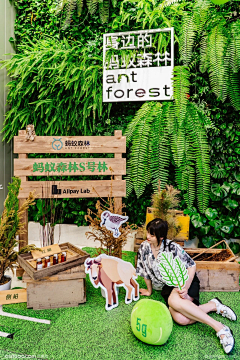 lovely╉婧采集到群光宠物