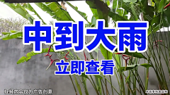 -小柒采集到信息流【横】