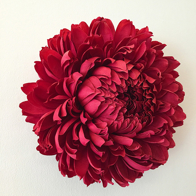 Massive Paper Flower...