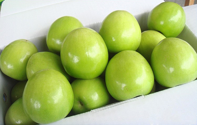 现货新鲜水果青果特级青枣台湾正宗牛奶枣脆蜜贵妃枣5斤特价包邮淘宝