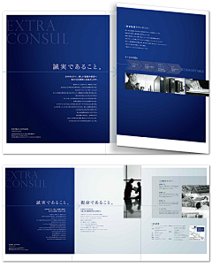 Zh-卫道品牌采集到画册