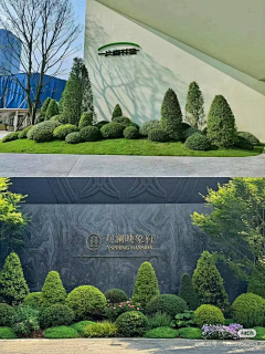 严老师（植栽设计）采集到杰森极致花园