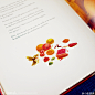 [转载]​小新说画 <wbr>第5集 <wbr>-Thomas <wbr>le <wbr>magicien