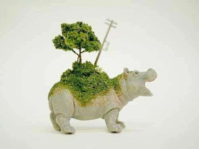 日本艺术家的动物景观雕塑