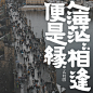 原谅一切。未来依旧可期。