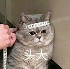 ┾Ｓmile二猫请三思采集到表情包