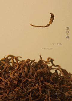 小小翟的尹先森采集到灵感