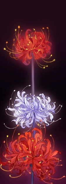 无渔有水采集到古风