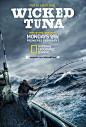 Wicked Tuna