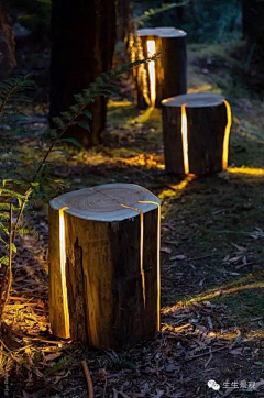 狗头人采集到灯具
