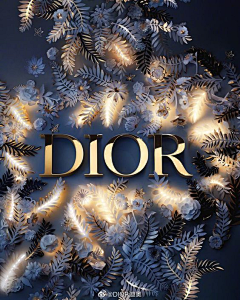 dior迪奥