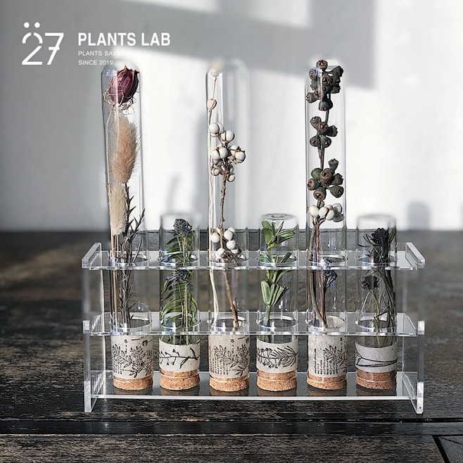 27植研所实验系列原创设计试管植物标本科...