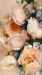 其中包括图片：Flowers