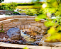 Lindgren Landscape's Photos