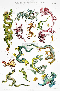 满脑子都是龙采集到龙