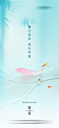 地产夏至节气海报
