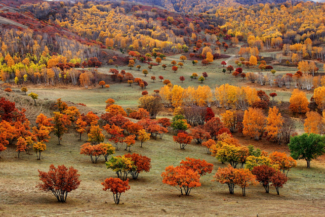 美丽的木兰围场
