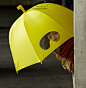 台湾代购 25togo设计GOGGLES创意潜水镜观景窗柠檬黄雨伞★现货-淘宝网