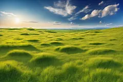 绿草皮自然风景摄影图