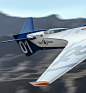 一飞冲天的“Racing Bird 飞机”的3D模型| 全球最好的设计,尽在普象网 puxiang.com