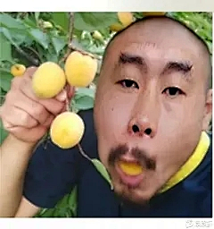dsfjhsr采集到无敌