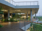 嘉兴种子艺术中心 / B.L.U.E.建筑设计事务所 : 一半室内，一半室外；一半城市，一半自然
