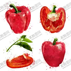 手绘彩色蔬菜免扣素材图片 【酷图网】辣椒,彩椒,青菜插画,蔬菜插画,手绘蔬菜,手绘青菜,健康饮食,果蔬,蔬菜,水果,饭菜,绿色蔬菜,食物手绘,小清新,素材,美食,餐饮,手绘,食材,插画,火锅食材,食物,光盘行动,拒绝浪费,光盘,公益,宣传,卡通,PNG,免抠,免抠图,抠图,元素,透明,蔬菜素材,蔬菜沙拉,沙拉,有机蔬菜,天然,健康