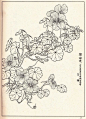 花卉线描资料，《白描花卉》