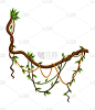 Twisted wild lianas branches banner. Jungle vine p