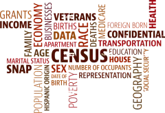 词云 人口普查 人口 数据 信息 祖先 家谱 隐私 宪法 博客