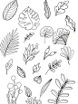 素材5｜花朵及叶子 : 整理了一批简单好画的花朵叶子线稿，做插画装饰，好用