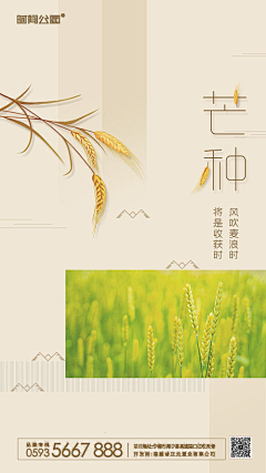 蓝~苹果采集到芒种
