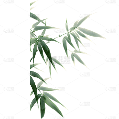 ぃ垨著陽咣ゝ采集到花