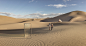 Adobe Portfolio glass door Landscape Aeroplan CGI retouch