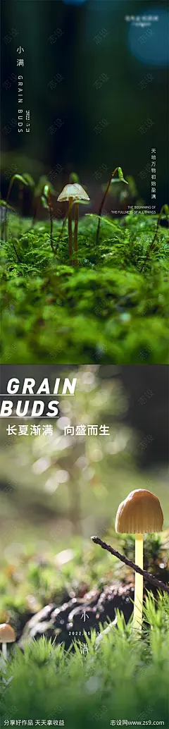小满蘑菇新生清新简约系列海报-源文件-志设网-zs9.com
