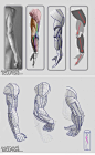 How to Draw the Human Body - Study: Arm Anatomical Art Poses for Comic / Manga Character Reference: 