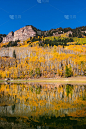 白杨树和秋天的景观反射在一个山湖