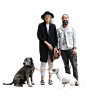 @到此为止′Here，∈点击进入主页，PNG素材/新中式/家具/商业元素/数字/楼体/动物