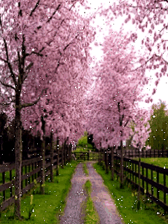 给我一个幻想的杯空世界动态另类壁纸下载_游戏狗手机壁纸