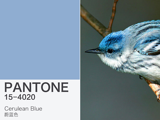 2000年 蔚蓝色 Pantone编号1...