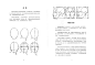 衣着五官037