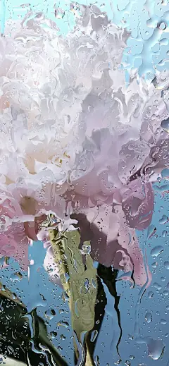 可以分享一波好看的手机壁纸吗？ - 知乎 : 我的壁纸没有水印 也都是高清的请拿图的小伙伴顺手帮我点赞  谢谢先发蓝色的再发绿色的黄色的粉色正红色