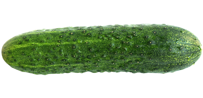 cucumberpng