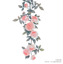用户sds0q7uG采集到手绘