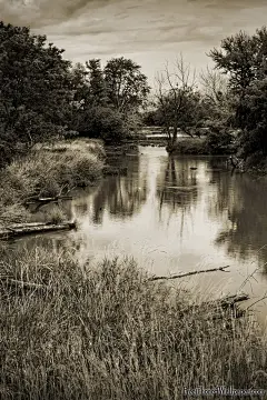 国外苹果壁纸合集:高清苹果(iPhone 4)设计壁纸欣赏[67P]