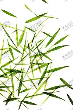 水墨 【酷图网】水墨,水墨圈,古风,水彩,手绘,晕染,泼墨,圆环,圆圈,大气,效果,装饰,装饰图案,素材图,海报背景,背景,图案,淘宝背景,免扣,边框,花簇,绿色,花框,素材,元素,底纹,文化,图片,传承,中国风,节气,小元素,绿色水墨