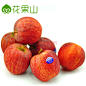 花果山 智利特级加力果8个装 嘎啦果吉娜苹果 进口新鲜水果 脆甜可口
