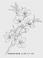 一起画画打卡D8｜桃花线稿画法 - 小红书